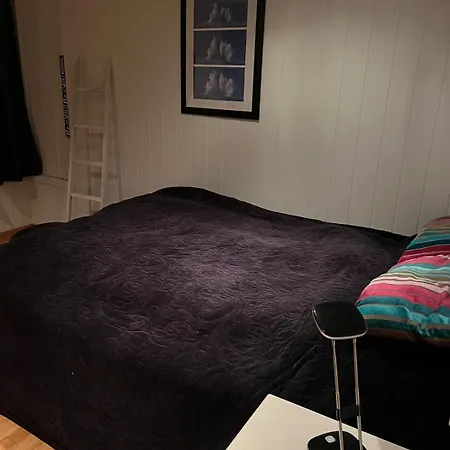 Sentral Og Romslig Bolig